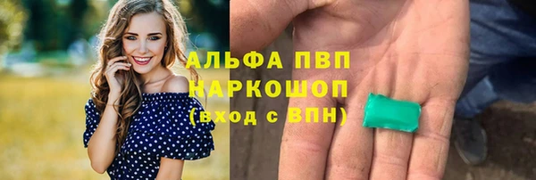 хмурый Дмитровск