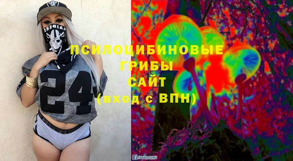 хмурый Дмитровск