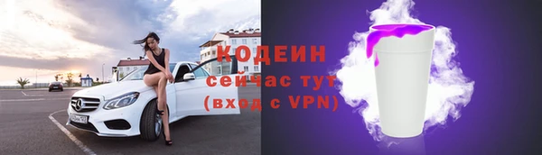 хмурый Дмитровск