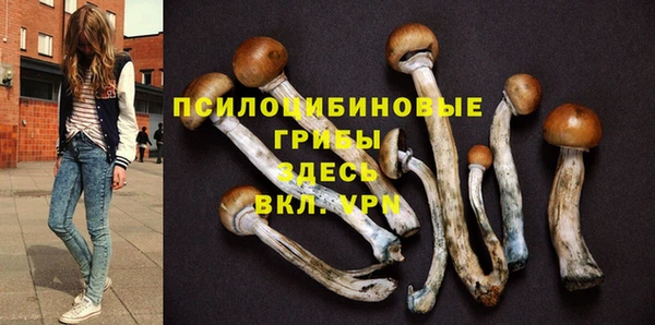 кокаин перу Дмитриев