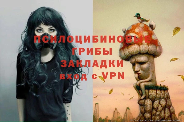 хмурый Дмитровск
