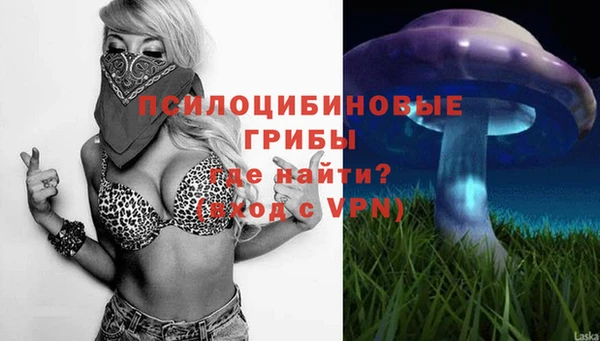 хмурый Дмитровск
