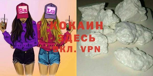 крисы Дмитров