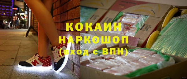гашик Кизел